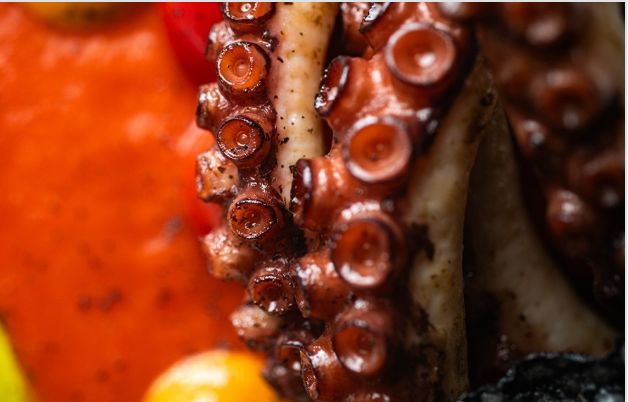 Polvo ibérico